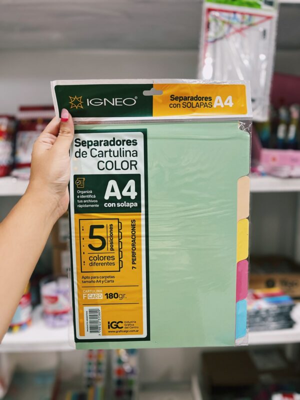 Separadores a4 cartulina con solapa por 5 unidades