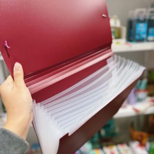 Carpeta clasificadora A4 bordo