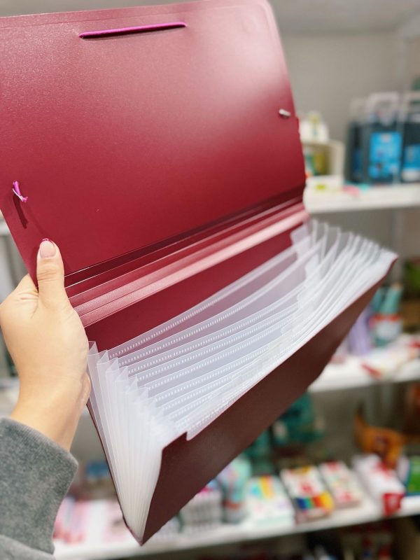 Carpeta clasificadora A4 bordo